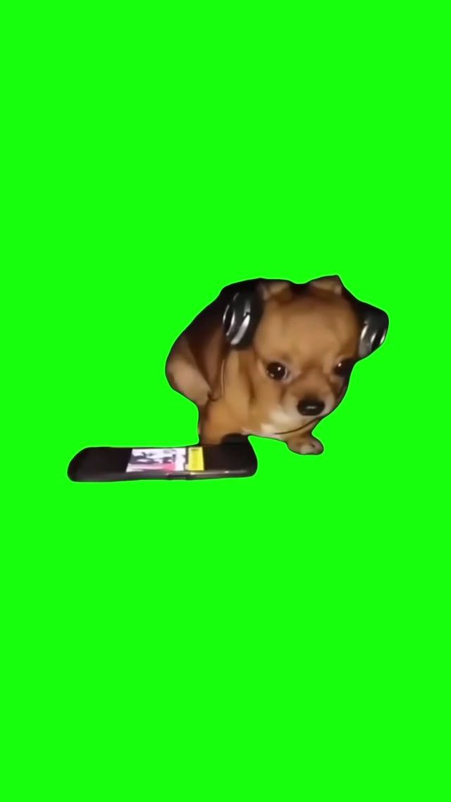 Dog Listening to Radiohead meme template blank