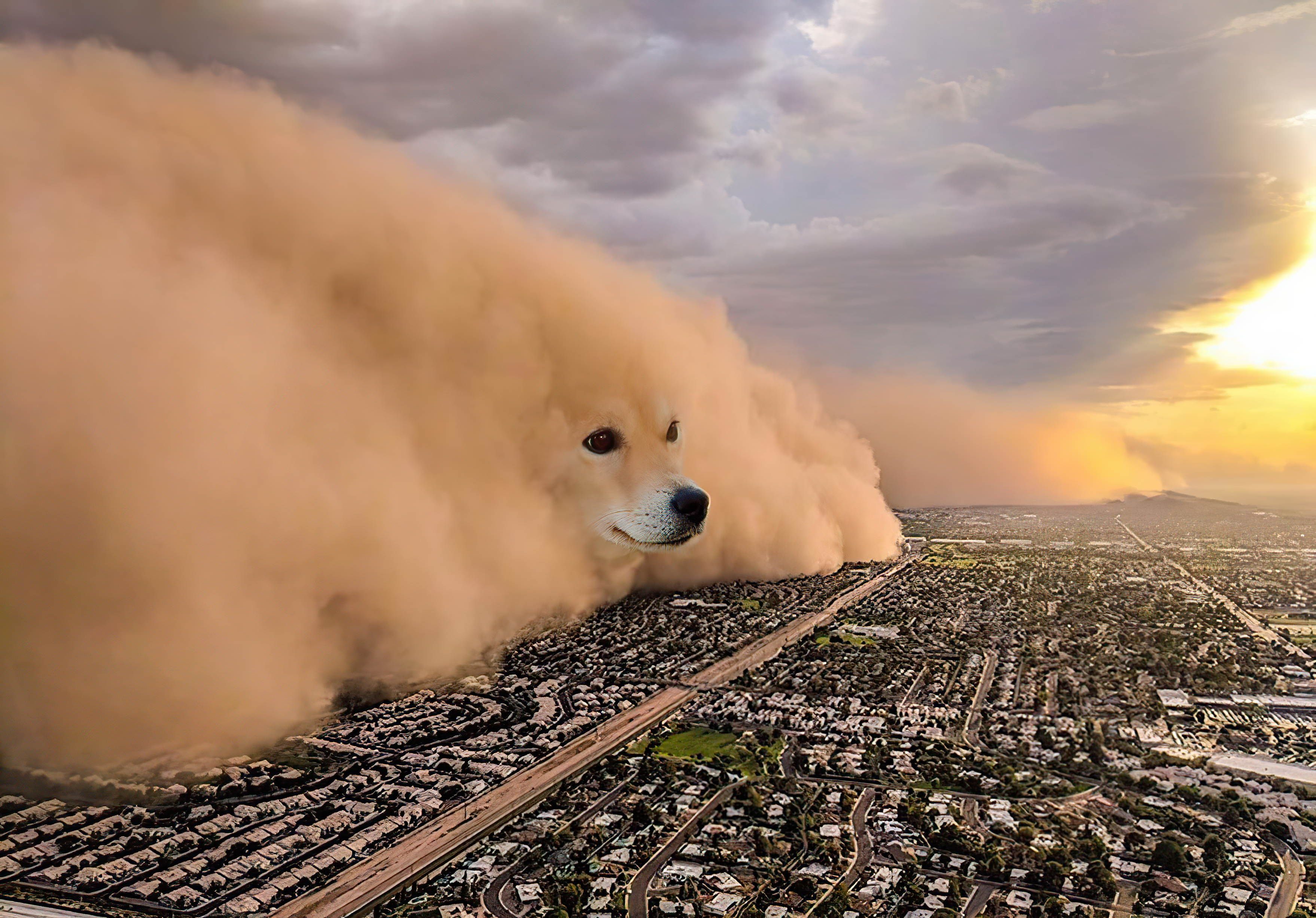 Doge Dust Storm meme template blank - image format