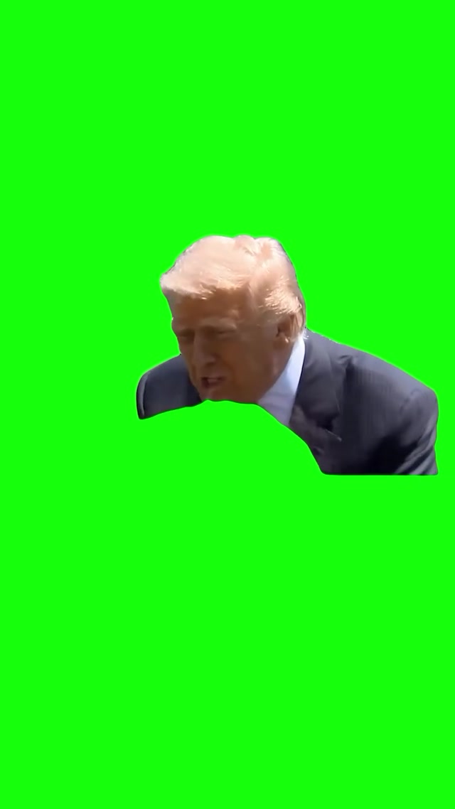 “Dumb Person” Donald Trump meme template blank