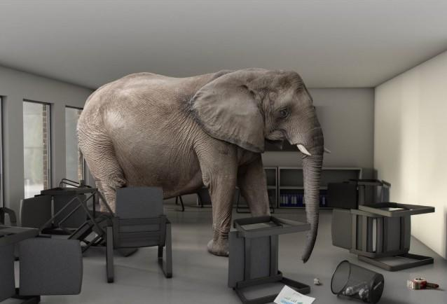 Elephant in the Room meme template blank - image format