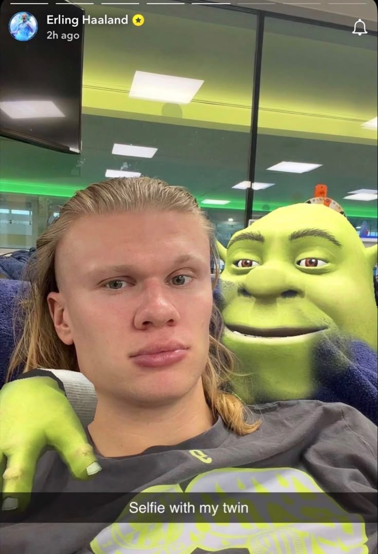 Erling Haaland Selfie with Shrek meme template blank - image format