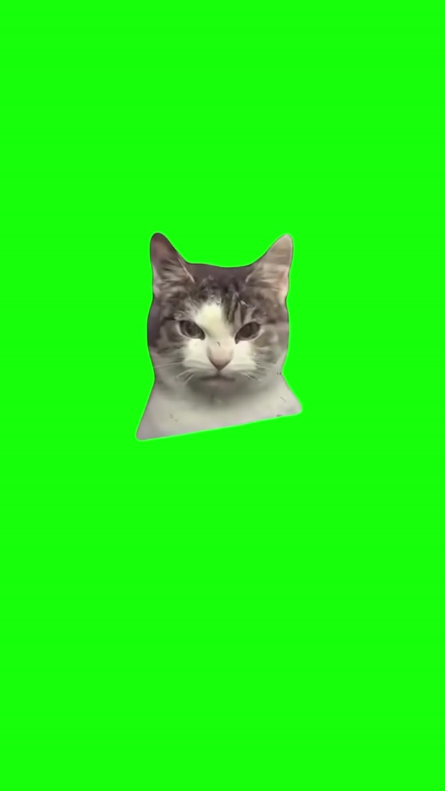 Evil Cat meme template blank