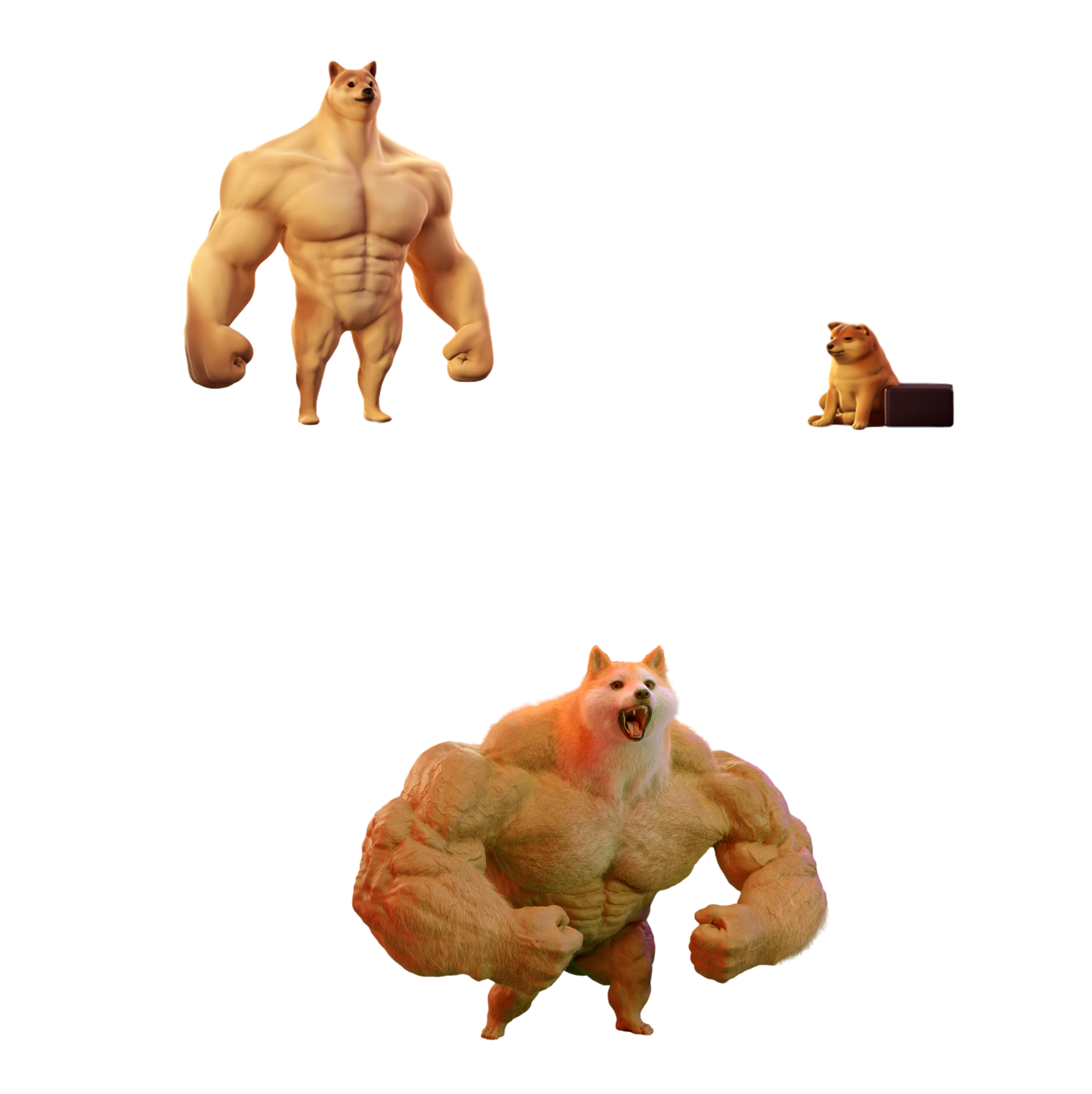 Evolution of Swole Doge meme template blank - image format
