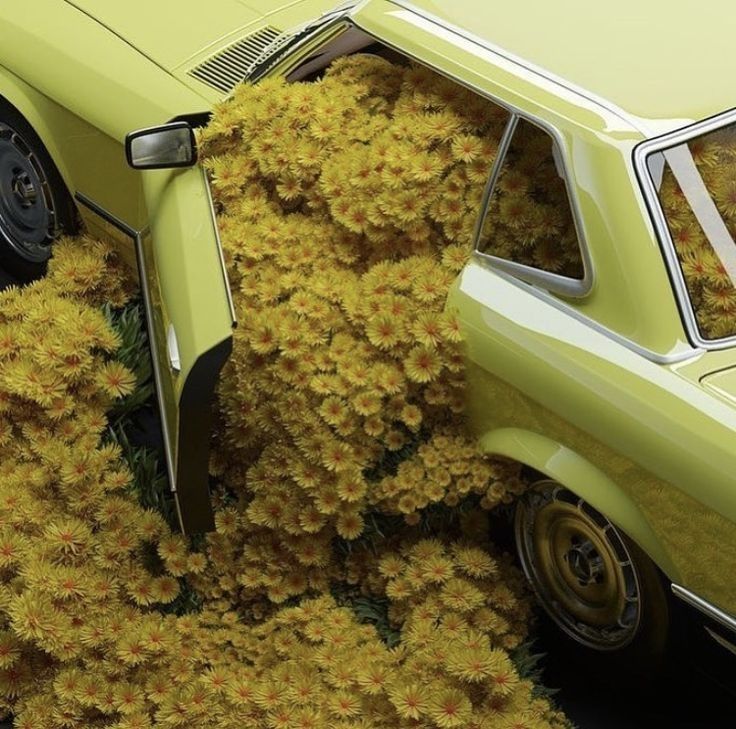 Flower Overload Car meme template blank