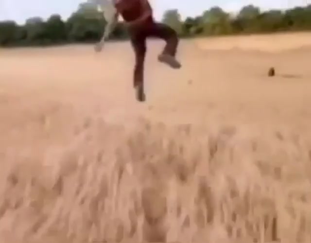 Flying in the fields meme template blank