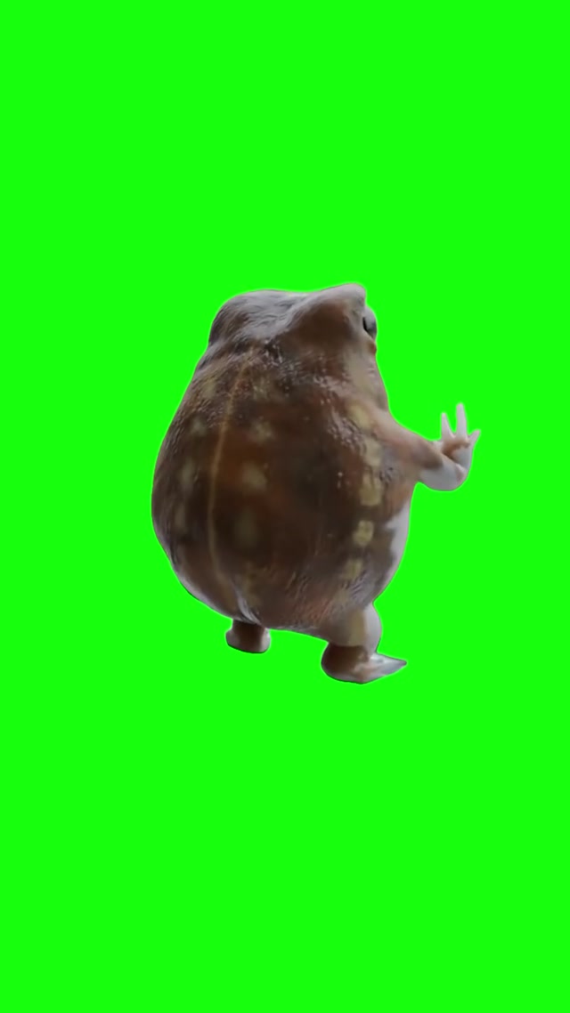 Frog Looking out the Window meme template blank