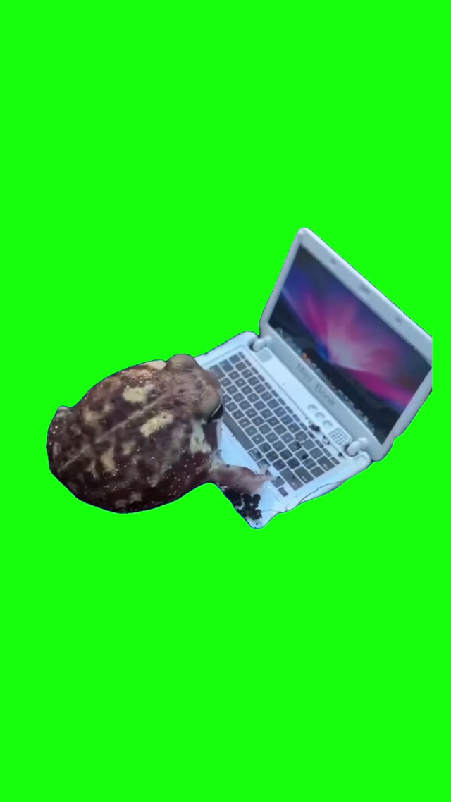 Frog Working meme template blank