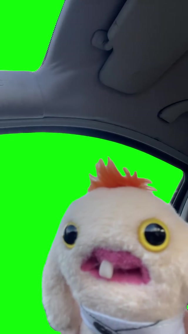 Fuggler Looking out the Window meme template blank