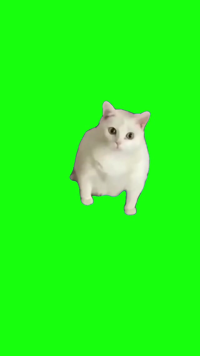 Gagging Cat meme template blank