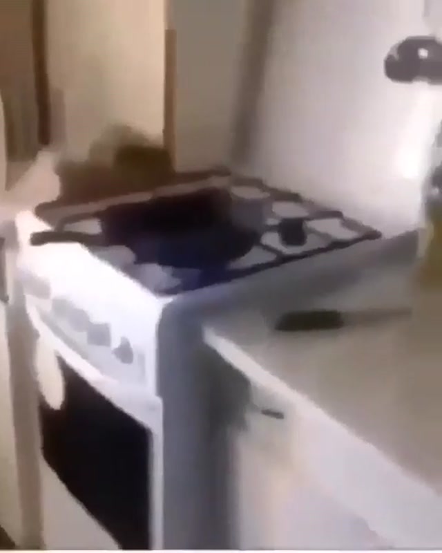 Gas Stove Firecracker Explosion meme template blank