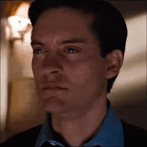 Spider Man Sad GIF meme template blank