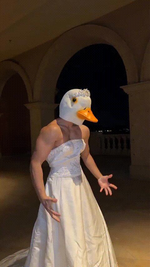 The Wedding Duck Chase meme template blank