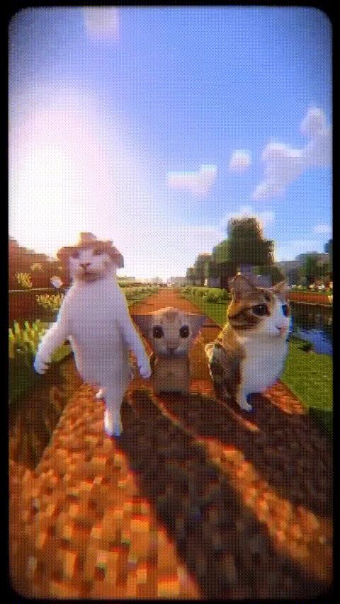 Cats minecraft dance template meme template blank
