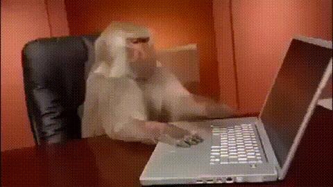 monkey with laptop meme template blank
