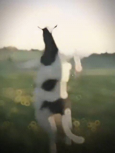 Funny Cow Dance meme template blank