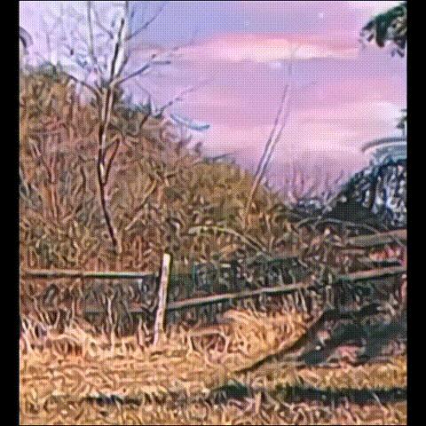 SOLDIER FALLING DOWN MEME TEMPLATE meme template blank