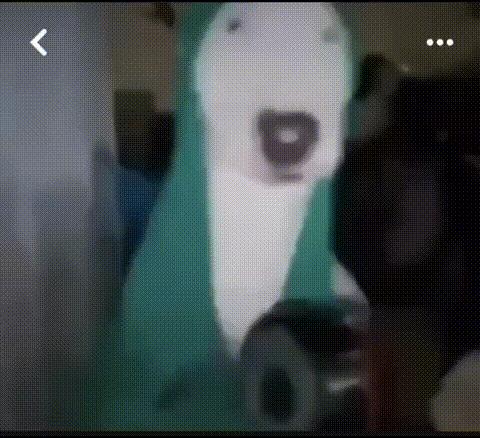 Dog banging pan meme meme template blank