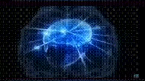 Big brain meme meme template blank