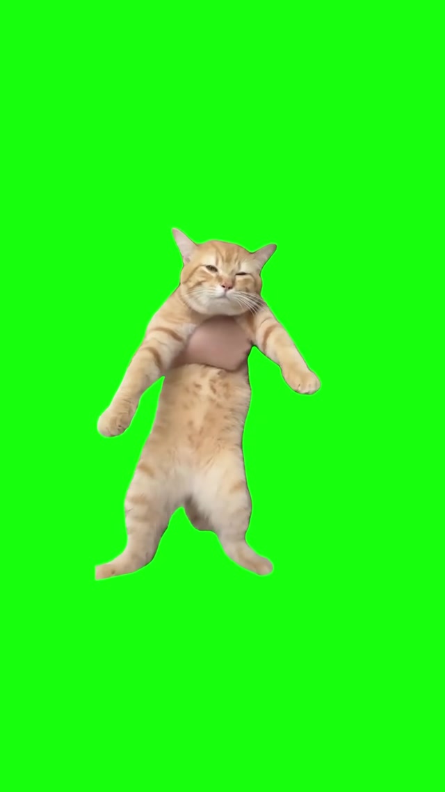 Ginger Cat Dancing meme template blank