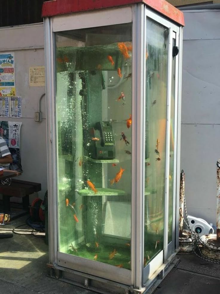 Goldfish Telephone Booth Aquarium meme template blank - image format