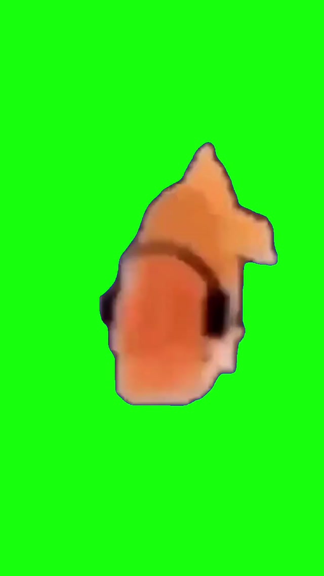 Goldfish With Headphones Dancing meme template blank