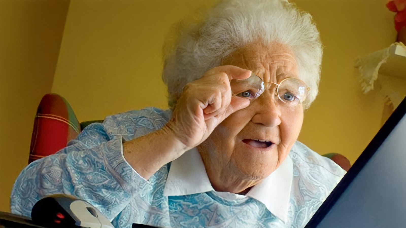 Grandma at the Computer meme template blank - image format