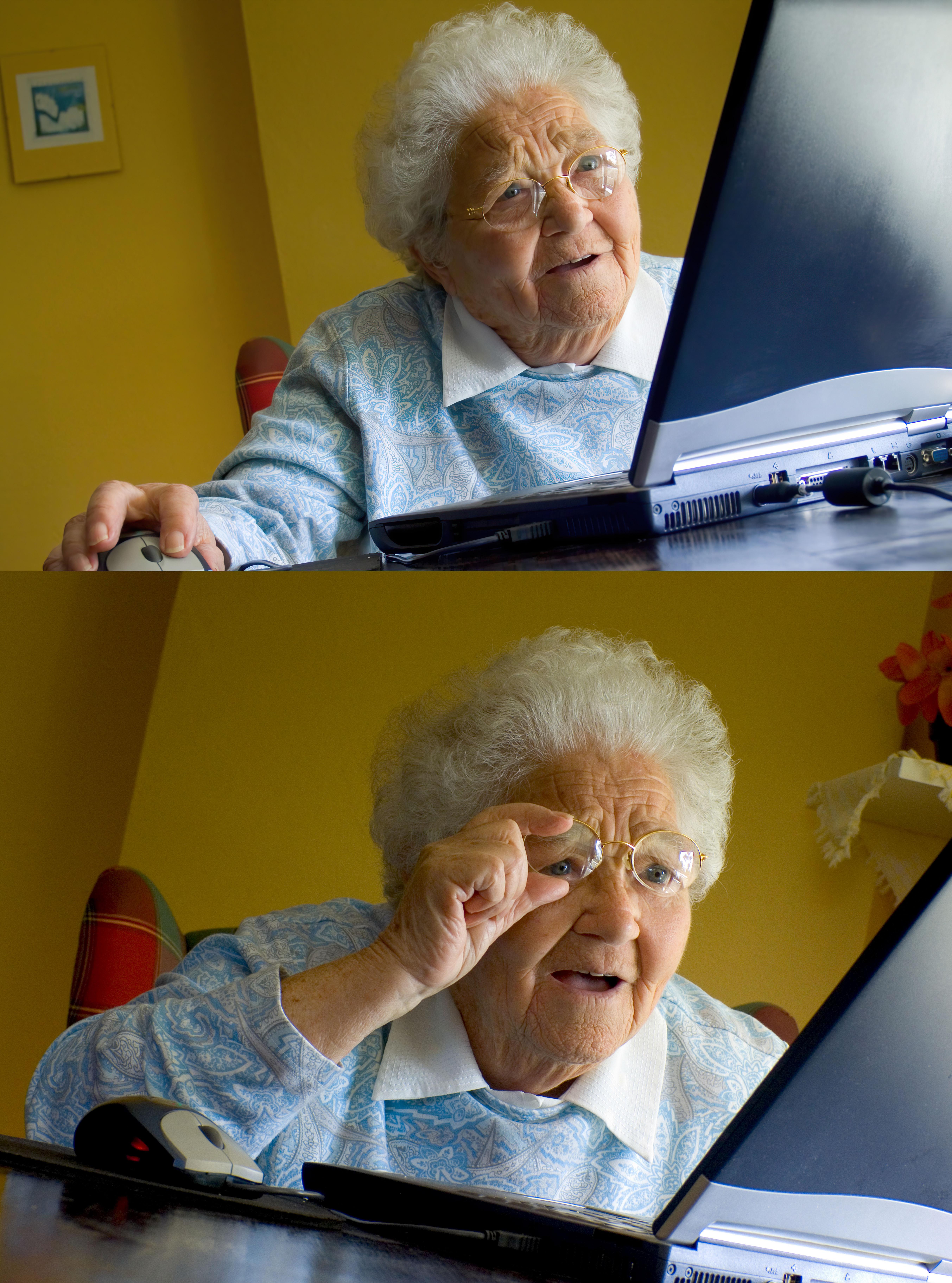 Grandma at the Computer 2-Panel meme template blank - image format