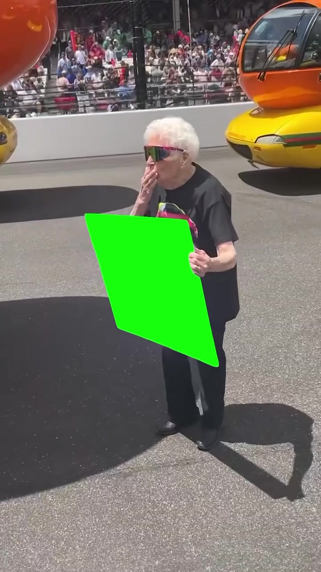 Grandma With Sign meme template blank
