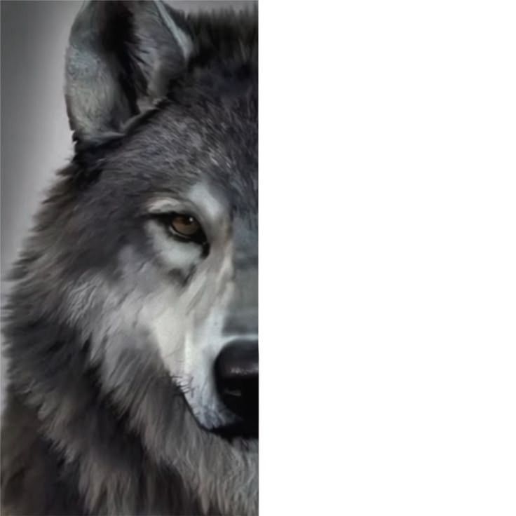 Half Wolf Face meme template blank