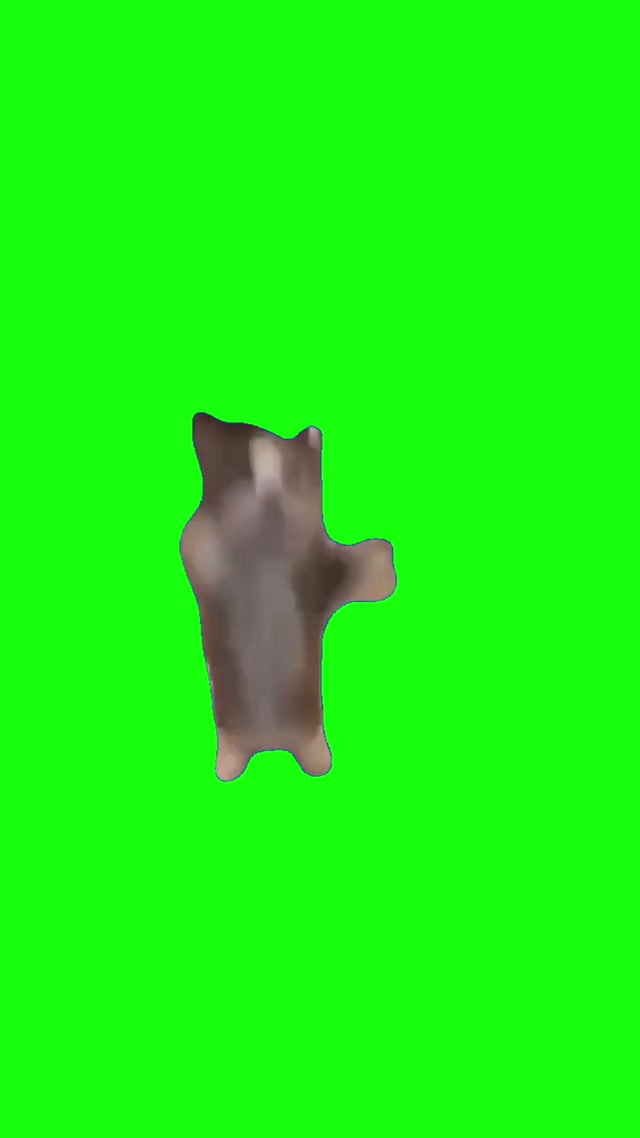Happy Happy Happy Cat meme template blank