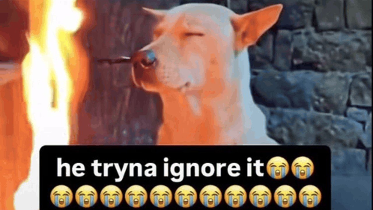 He Tryna Ignore It meme template blank