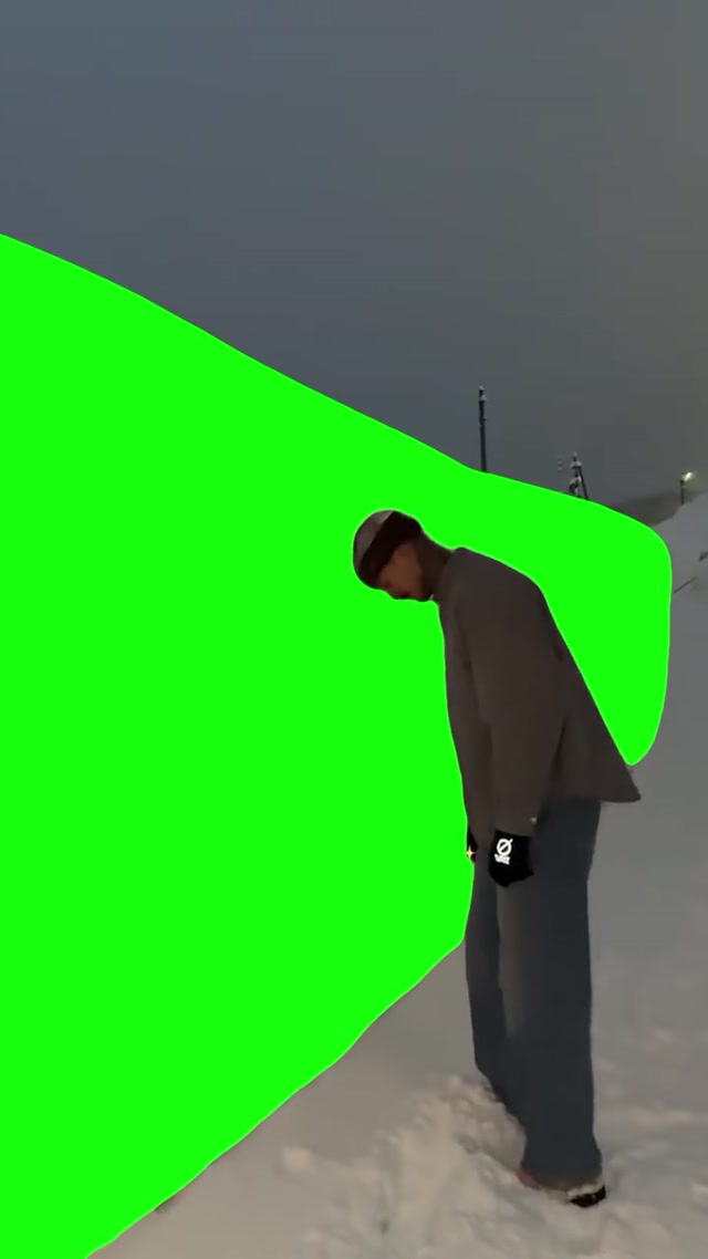 Head In Snow meme template blank