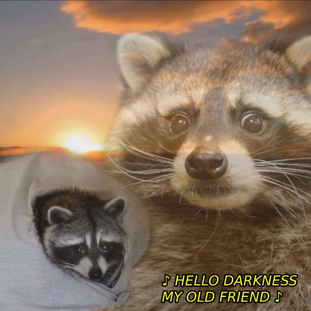 Hello Darkness Raccoon meme template blank - image format