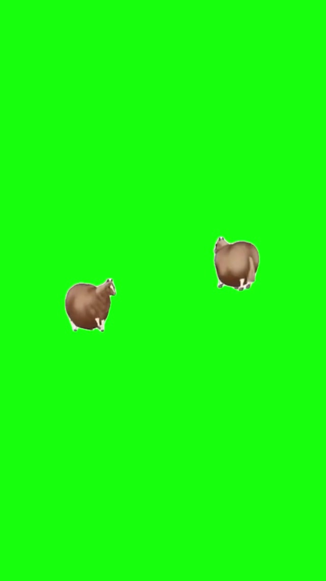 Horse Sticker meme template blank