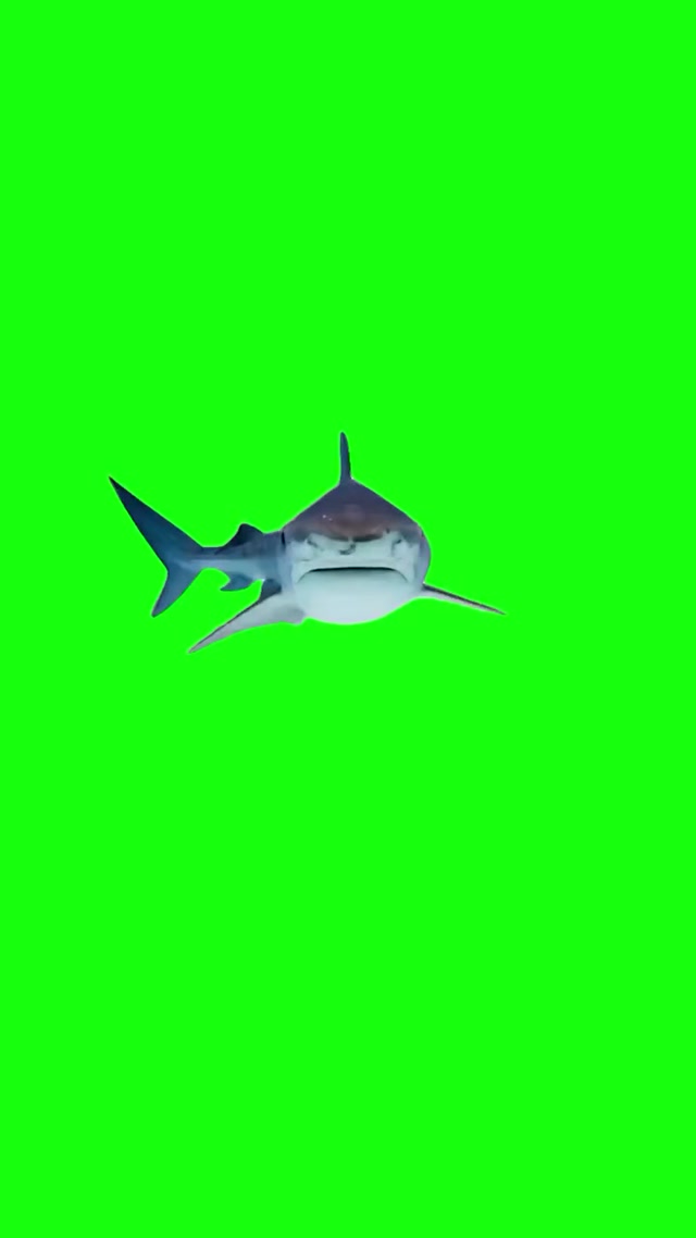 Hub Bu Bu Bu Bu Bu Bu Shark meme template blank