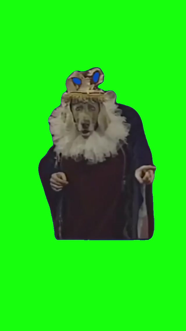 I Am the King meme template blank