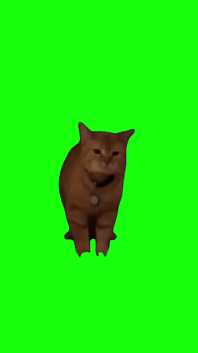 I Go Meow – Cat Singing meme template blank