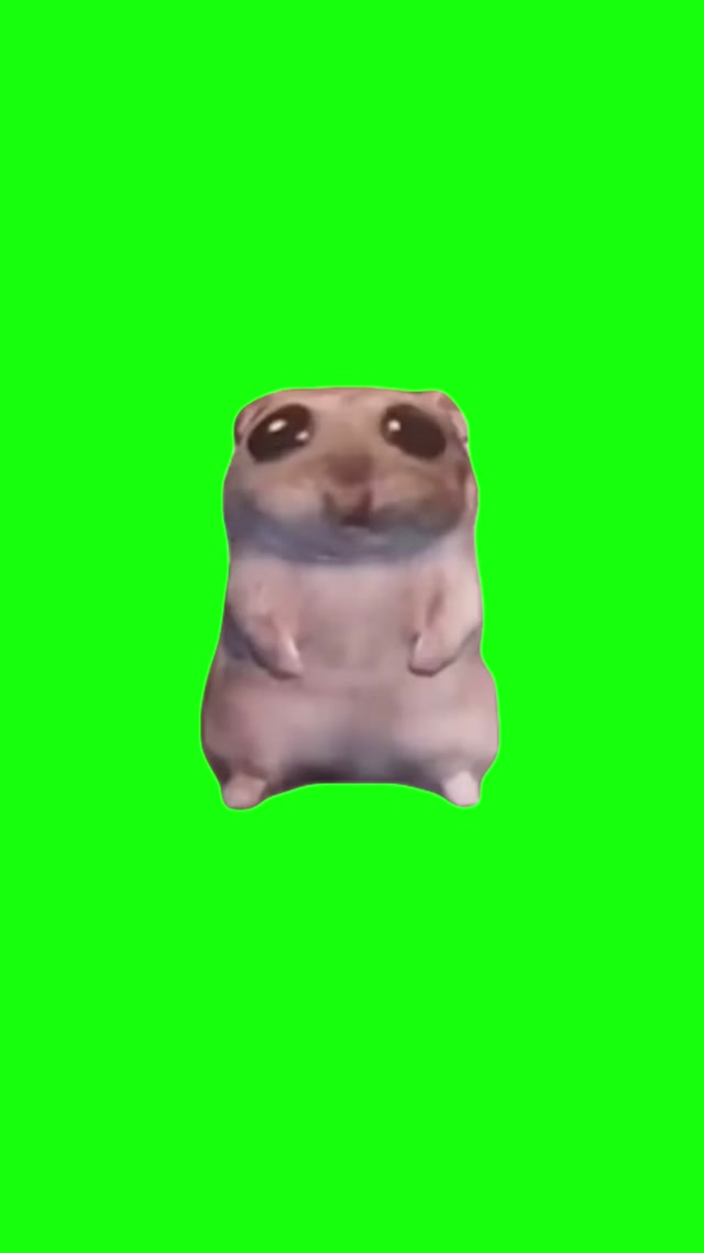 I Just Wanna Hamster meme template blank