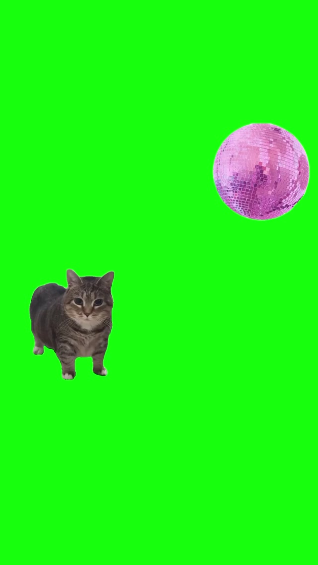 I Want To Make Oiiaoiia meme template blank