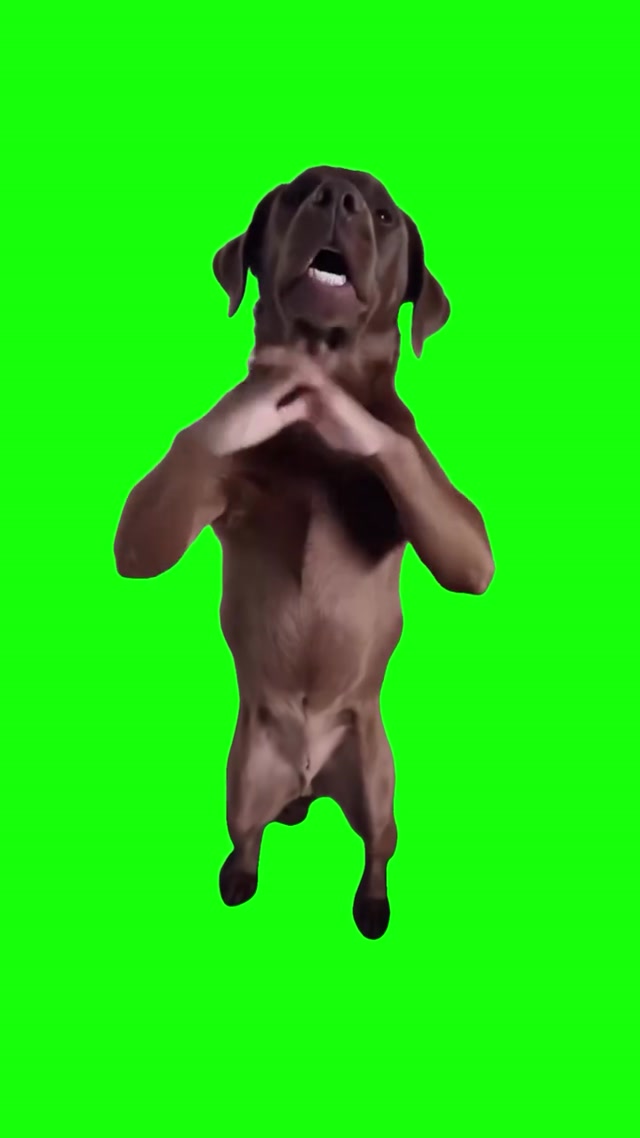 “If You Grab Me” AI Dog meme template blank