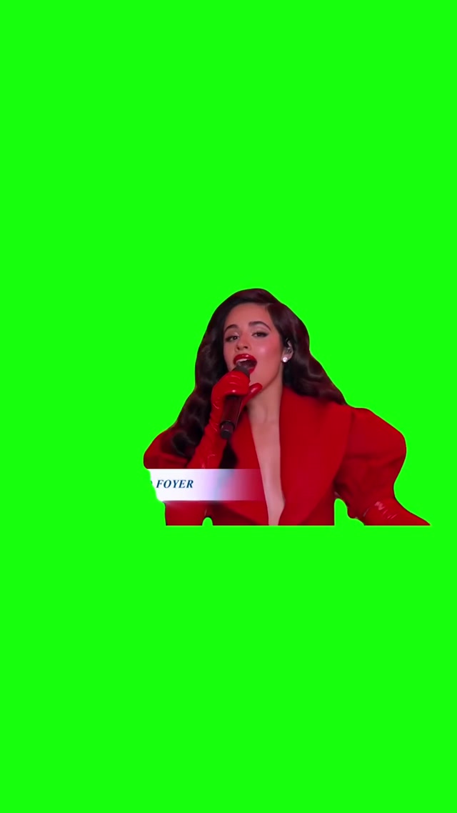 “I’ll Be Home for Quismoiss” Camila Cabello meme template blank