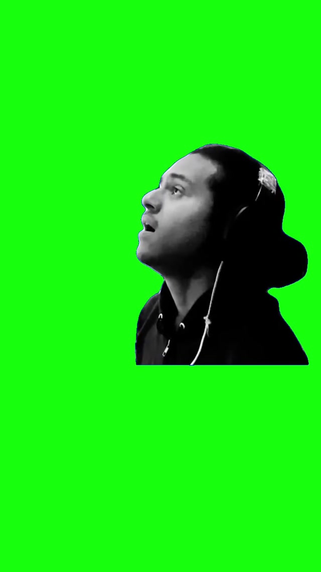 Imagine if Nick Eh 30 Had French Fries With Waves meme template blank
