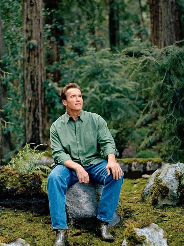 Arnold Schwarzenegger Sitting in the Forest meme template blank