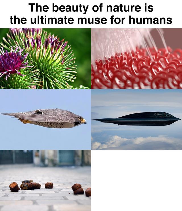 Nature is the Ultimate Muse meme template blank