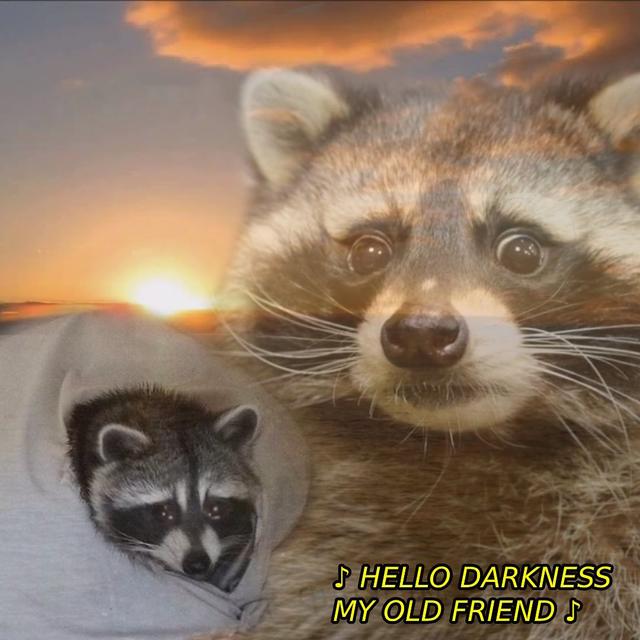 Hello Darkness Raccoon meme template blank