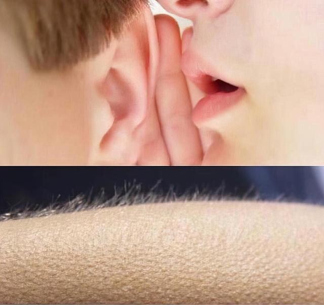 Goosebumps Whisper meme template blank