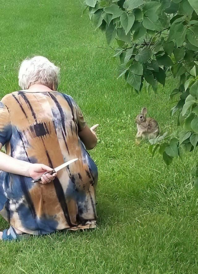 Grandma Hiding Knife from Rabbit meme template blank