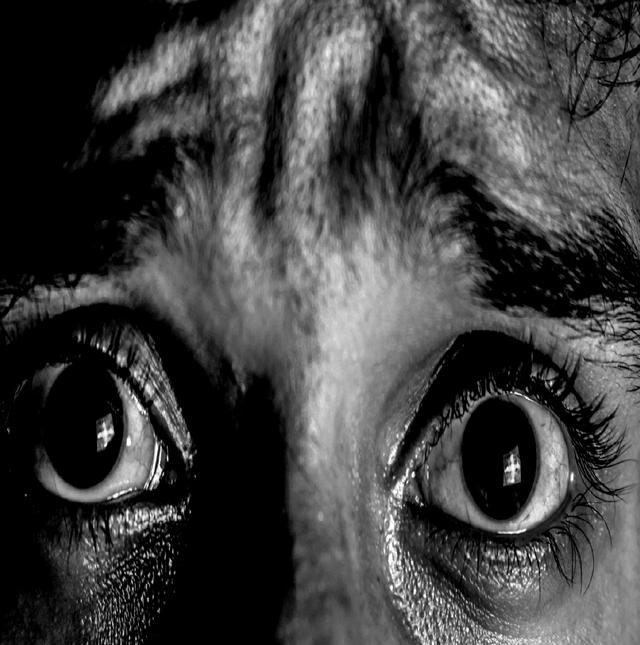 The Attic Stare (Pure Horror/Discomfort) meme template blank