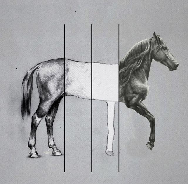 Unfinished Horse Drawing meme template blank