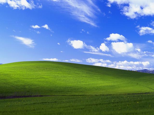 Bliss (Windows XP Background) meme template blank